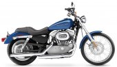 2005 Harley-Davidson XL 883 C Sportster Custom photo